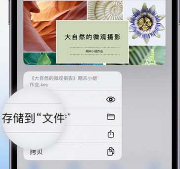 潜江经济开发区apple维修中心分享iPhone文件应用中存储和找到下载文件