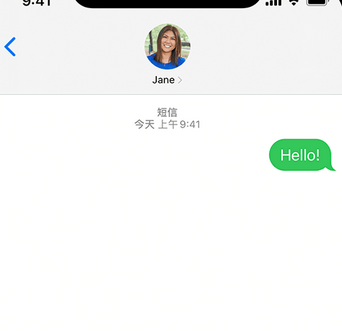 潜江经济开发区apple维修iPhone上无法正常发送iMessage信息