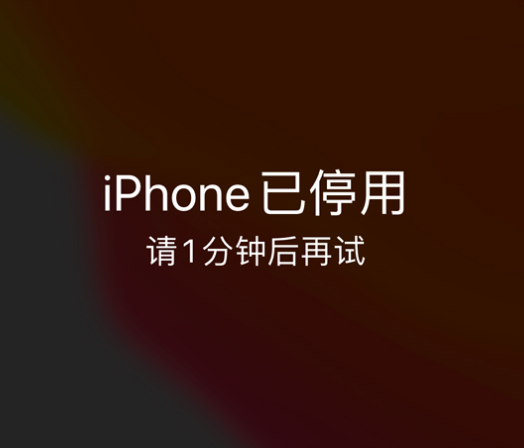 潜江经济开发区苹果手机维修分享:iPhone 显示“不可用”或“已停用”怎么办？还能保留数据吗？ 