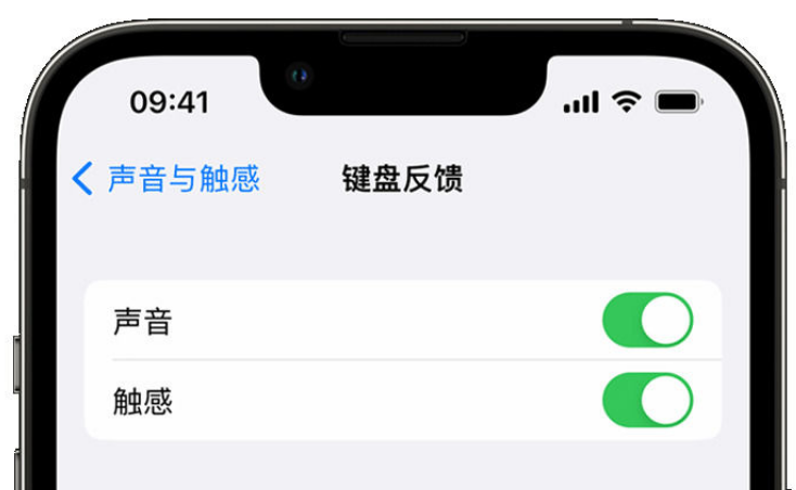 潜江经济开发区苹果手机维修分享iPhone 14触感键盘使用方法 