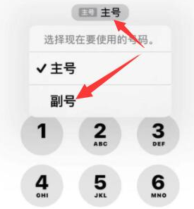 潜江经济开发区苹果14维修店分享iPhone 14 Pro Max使用副卡打电话的方法 