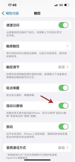 潜江经济开发区苹果手机维修分享iPhone手机如何设置摇一摇删除文字 